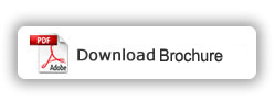 Download Button